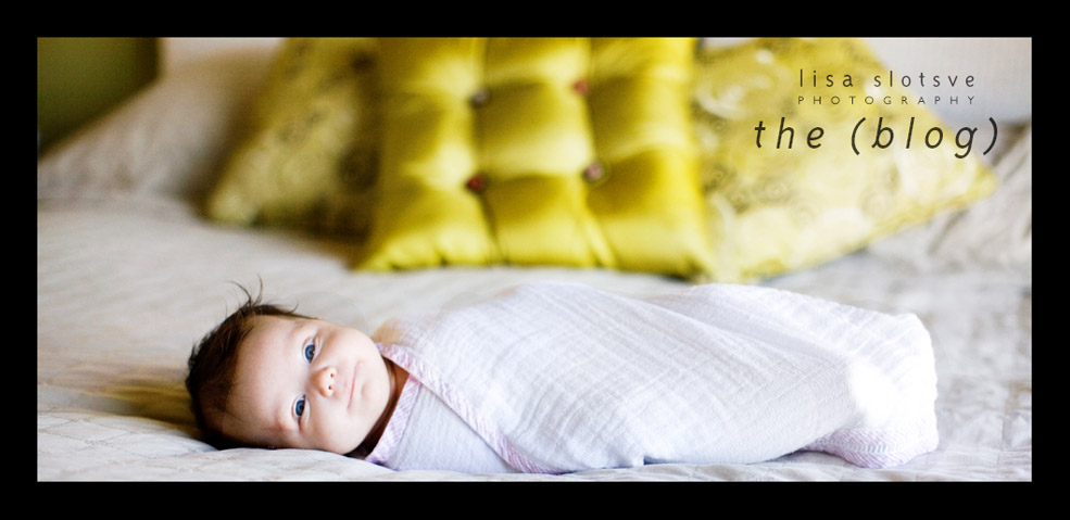 Random header image... Refresh for more!