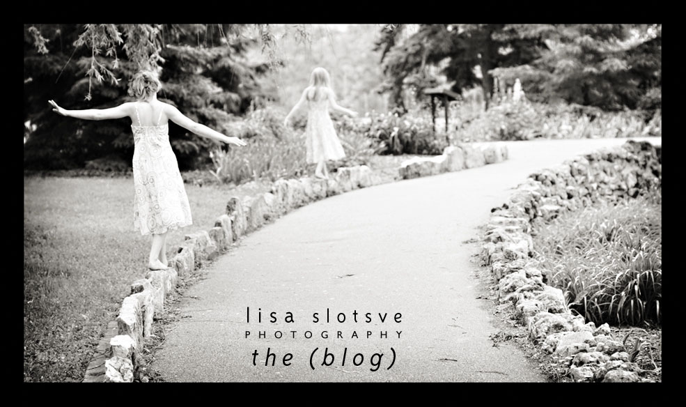 Random header image... Refresh for more!
